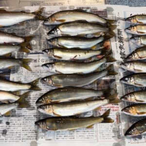 9月23日釣果情報